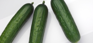 cucumber