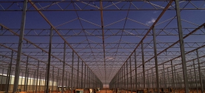turn-key greenhouse project Saudi Arabia