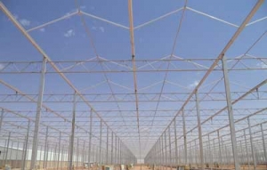 turn-key greenhouse project Saudi Arabia