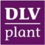 DLV Plant - GreenQ